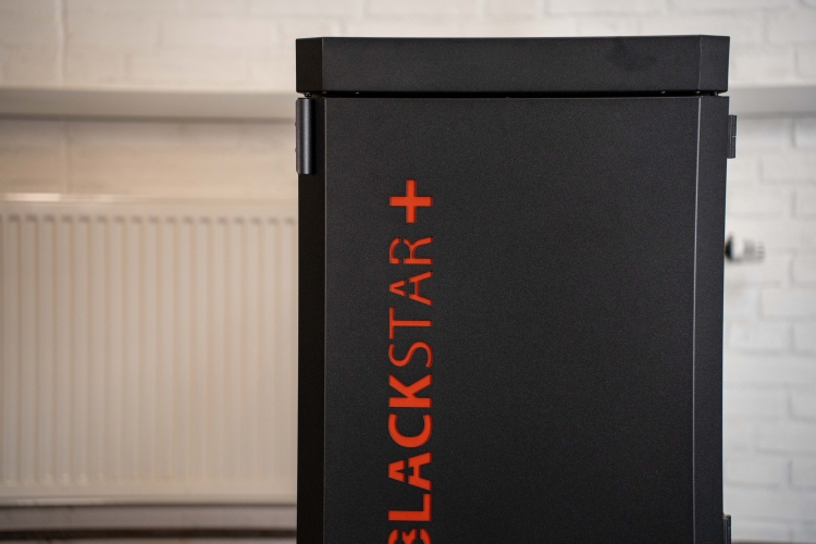 Detaljebillede af Blackstar pillefyr med betjeningspanel